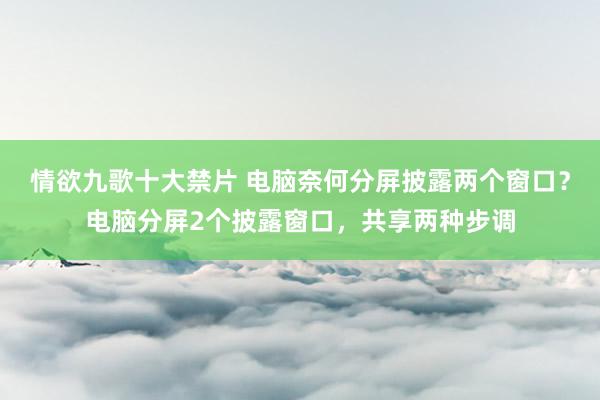 情欲九歌十大禁片 电脑奈何分屏披露两个窗口？电脑分屏2个披露窗口，共享两种步调