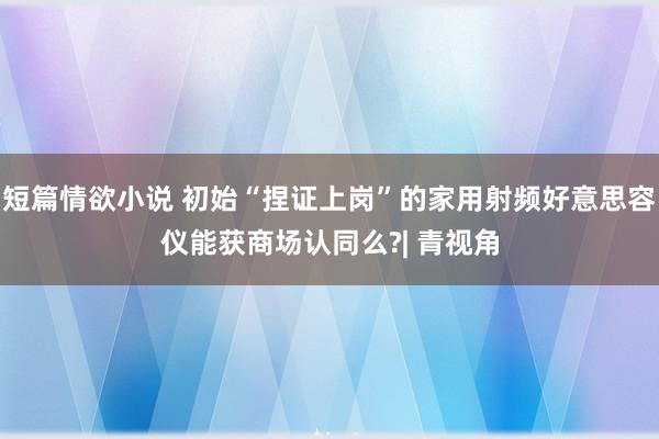 短篇情欲小说 初始“捏证上岗”的家用射频好意思容仪能获商场认同么?| 青视角