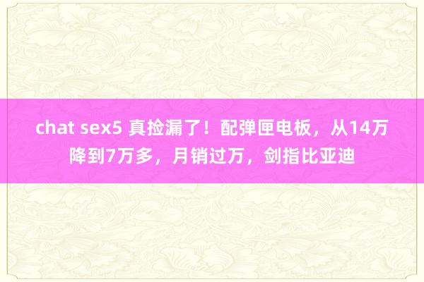 chat sex5 真捡漏了！配弹匣电板，从14万降到7万多，月销过万，剑指比亚迪