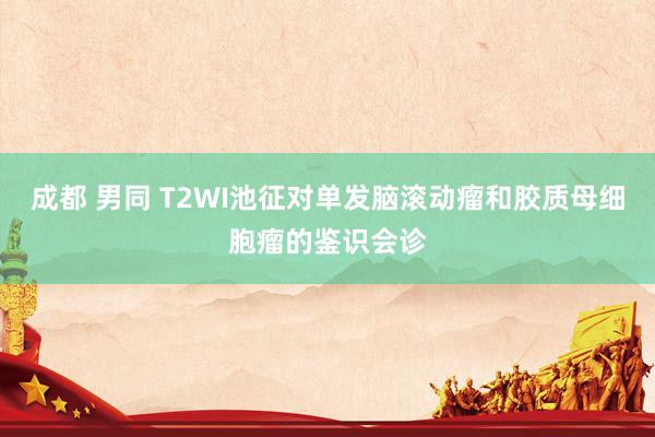成都 男同 T2WI池征对单发脑滚动瘤和胶质母细胞瘤的鉴识会诊