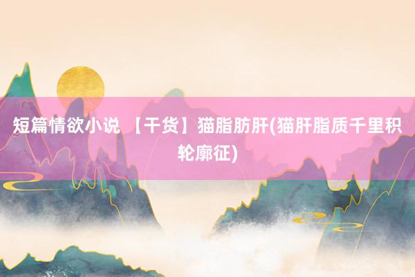 短篇情欲小说 【干货】猫脂肪肝(猫肝脂质千里积轮廓征)