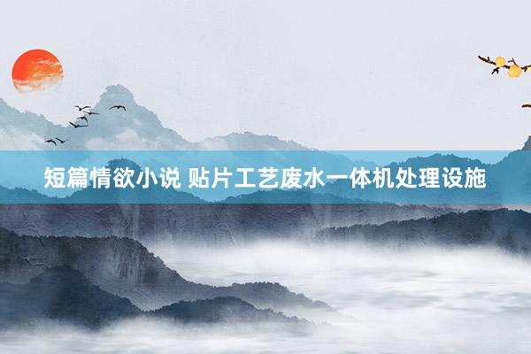 短篇情欲小说 贴片工艺废水一体机处理设施