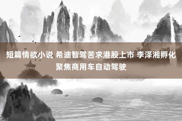 短篇情欲小说 希迪智驾苦求港股上市 李泽湘孵化聚焦商用车自动驾驶