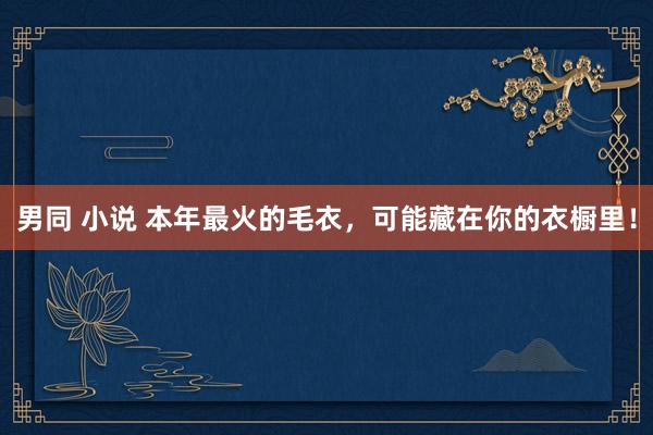 男同 小说 本年最火的毛衣，可能藏在你的衣橱里！