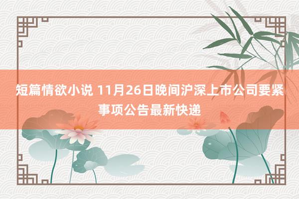 短篇情欲小说 11月26日晚间沪深上市公司要紧事项公告最新快递