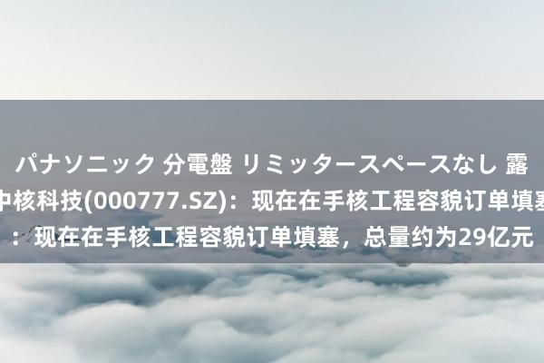 パナソニック 分電盤 リミッタースペースなし 露出・半埋込両用形 中核科技(000777.SZ)：现在在手核工程容貌订单填塞，总量约为29亿元