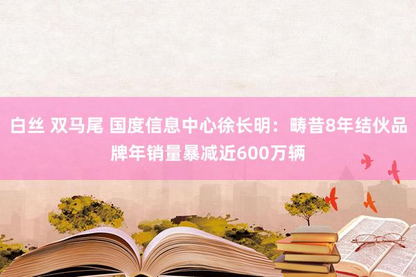 白丝 双马尾 国度信息中心徐长明：畴昔8年结伙品牌年销量暴减近600万辆