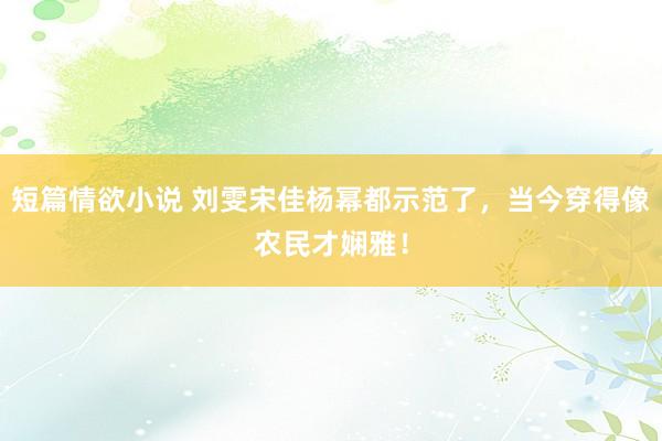 短篇情欲小说 刘雯宋佳杨幂都示范了，当今穿得像农民才娴雅！