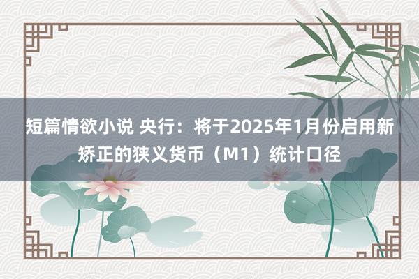 短篇情欲小说 央行：将于2025年1月份启用新矫正的狭义货币（M1）统计口径