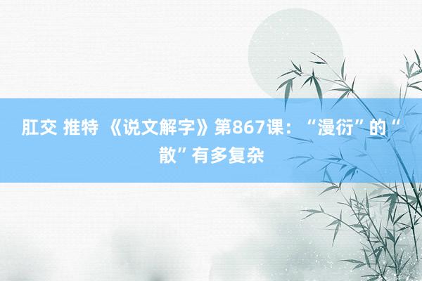 肛交 推特 《说文解字》第867课：“漫衍”的“散”有多复杂