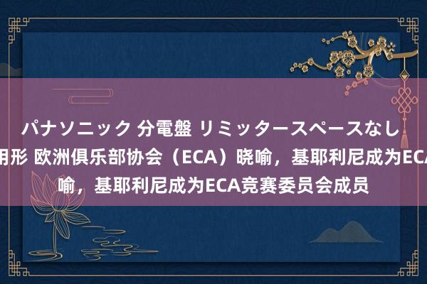 パナソニック 分電盤 リミッタースペースなし 露出・半埋込両用形 欧洲俱乐部协会（ECA）晓喻，基耶利尼成为ECA竞赛委员会成员