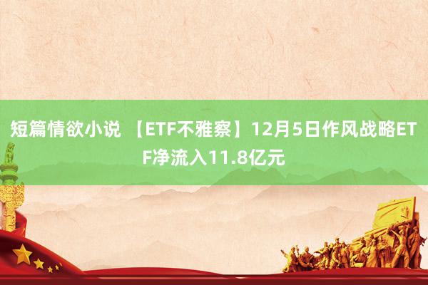 短篇情欲小说 【ETF不雅察】12月5日作风战略ETF净流入11.8亿元
