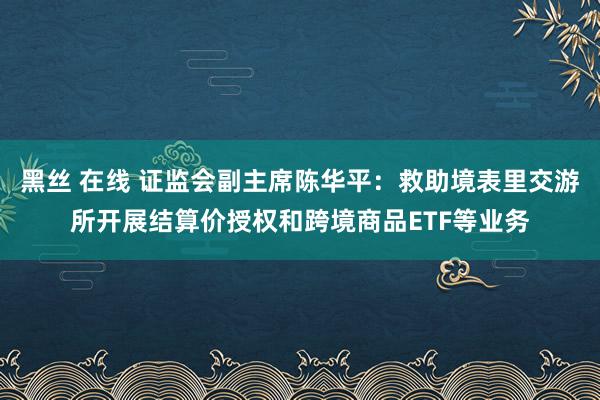 黑丝 在线 证监会副主席陈华平：救助境表里交游所开展结算价授权和跨境商品ETF等业务
