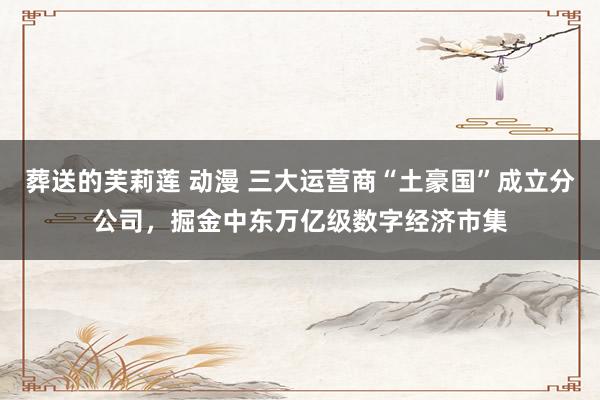 葬送的芙莉莲 动漫 三大运营商“土豪国”成立分公司，掘金中东万亿级数字经济市集