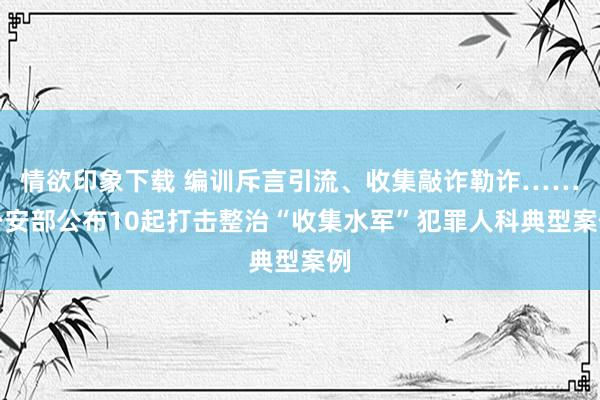 情欲印象下载 编训斥言引流、收集敲诈勒诈……公安部公布10起打击整治“收集水军”犯罪人科典型案例