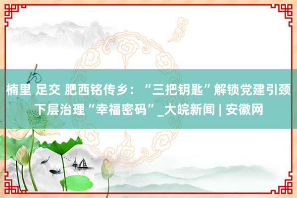 楠里 足交 肥西铭传乡：“三把钥匙”解锁党建引颈下层治理“幸福密码”_大皖新闻 | 安徽网