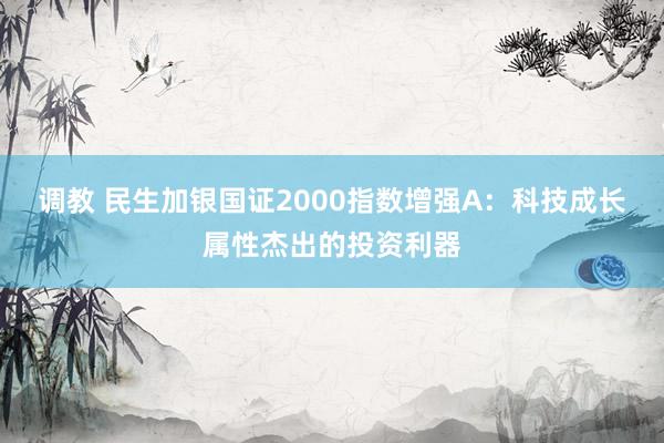 调教 民生加银国证2000指数增强A：科技成长属性杰出的投资利器