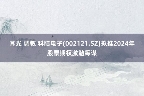 耳光 调教 科陆电子(002121.SZ)拟推2024年股票期权激勉筹谋