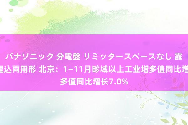 パナソニック 分電盤 リミッタースペースなし 露出・半埋込両用形 北京：1—11月畛域以上工业增多值同比增长7.0%