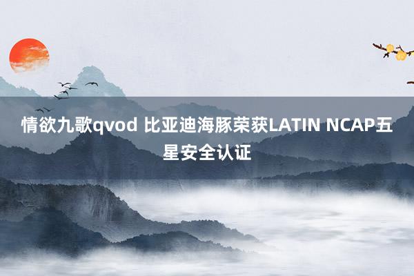 情欲九歌qvod 比亚迪海豚荣获LATIN NCAP五星安全认证