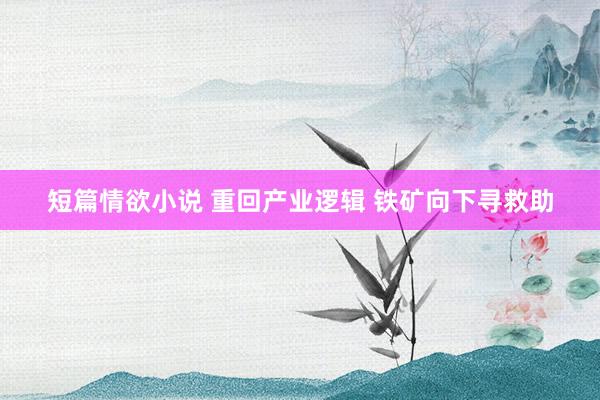 短篇情欲小说 重回产业逻辑 铁矿向下寻救助
