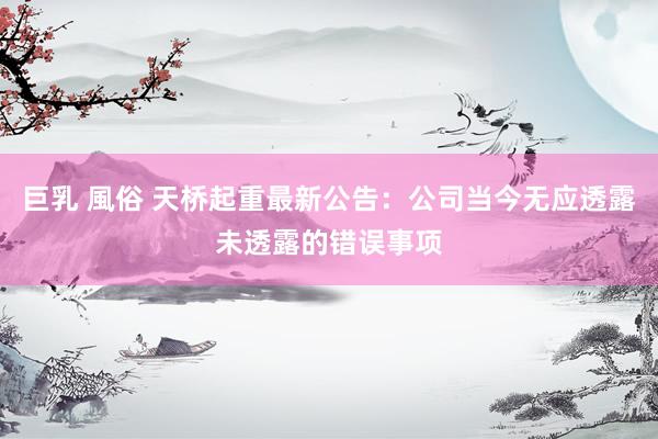 巨乳 風俗 天桥起重最新公告：公司当今无应透露未透露的错误事项