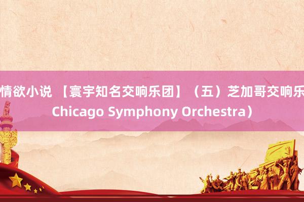 短篇情欲小说 【寰宇知名交响乐团】（五）芝加哥交响乐团（Chicago Symphony Orchestra）