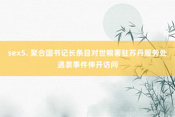 sex5. 聚合国书记长条目对世粮署驻苏丹服务处遇袭事件伸开访问