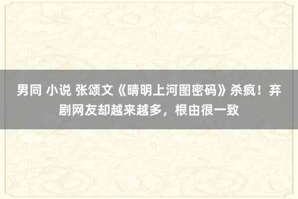 男同 小说 张颂文《晴明上河图密码》杀疯！弃剧网友却越来越多，根由很一致