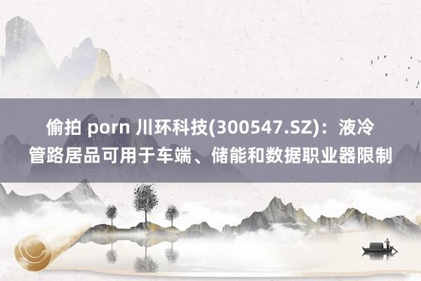 偷拍 porn 川环科技(300547.SZ)：液冷管路居品可用于车端、储能和数据职业器限制