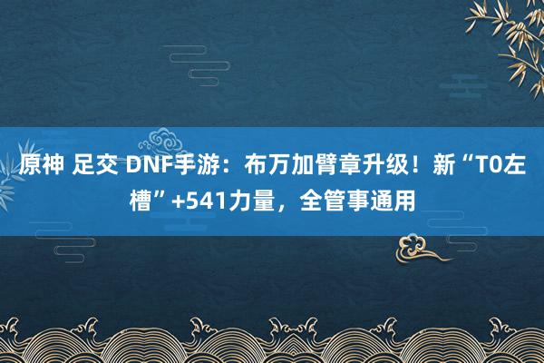 原神 足交 DNF手游：布万加臂章升级！新“T0左槽”+541力量，全管事通用