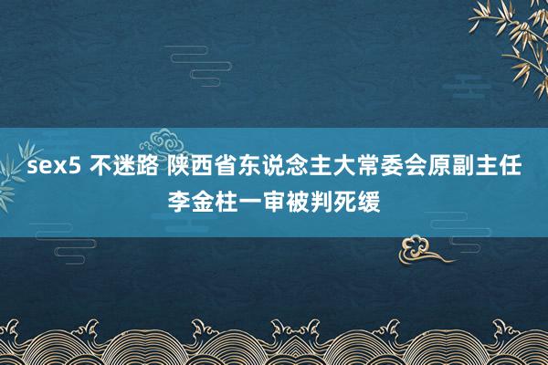 sex5 不迷路 陕西省东说念主大常委会原副主任李金柱一审被判死缓