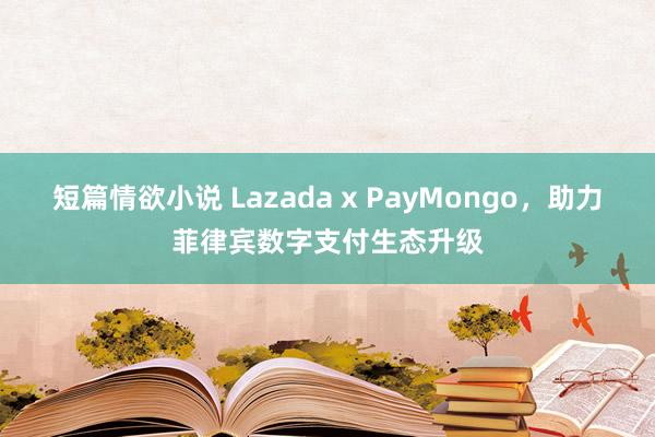 短篇情欲小说 Lazada x PayMongo，助力菲律宾数字支付生态升级