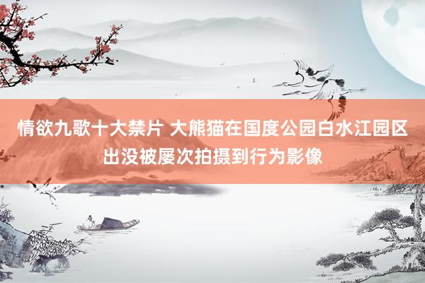 情欲九歌十大禁片 大熊猫在国度公园白水江园区出没被屡次拍摄到行为影像