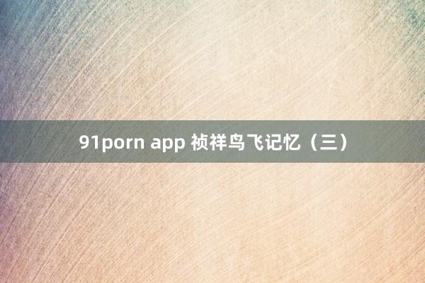 91porn app 祯祥鸟飞记忆（三）