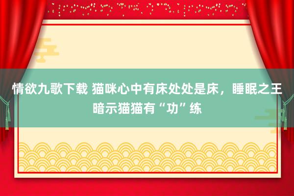情欲九歌下载 猫咪心中有床处处是床，睡眠之王暗示猫猫有“功”练