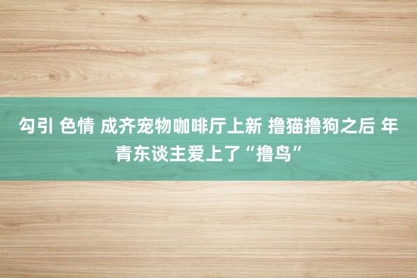勾引 色情 成齐宠物咖啡厅上新 撸猫撸狗之后 年青东谈主爱上了“撸鸟”