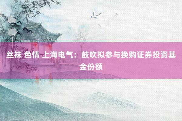 丝袜 色情 上海电气：鼓吹拟参与换购证券投资基金份额