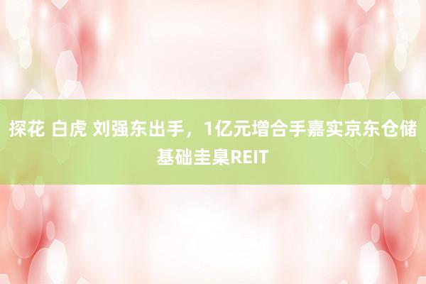 探花 白虎 刘强东出手，1亿元增合手嘉实京东仓储基础圭臬REIT
