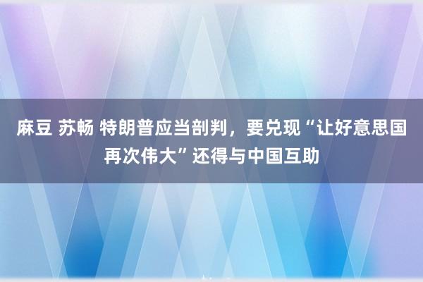 麻豆 苏畅 特朗普应当剖判，要兑现“让好意思国再次伟大”还得与中国互助