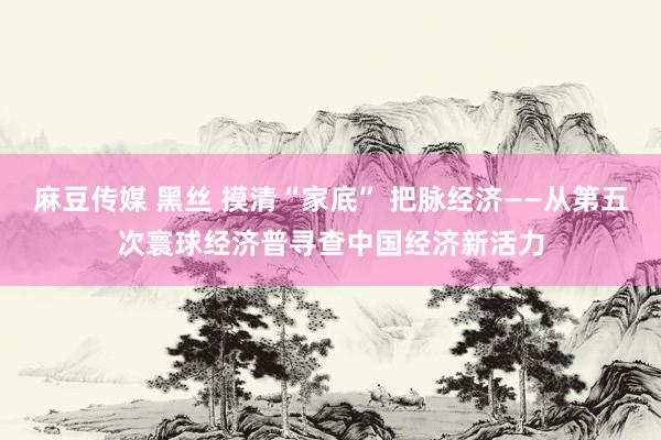 麻豆传媒 黑丝 摸清“家底” 把脉经济——从第五次寰球经济普寻查中国经济新活力