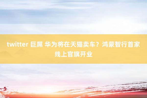 twitter 巨屌 华为将在天猫卖车？鸿蒙智行首家线上官旗开业