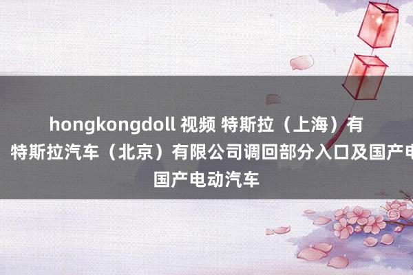 hongkongdoll 视频 特斯拉（上海）有限公司、特斯拉汽车（北京）有限公司调回部分入口及国产电动汽车