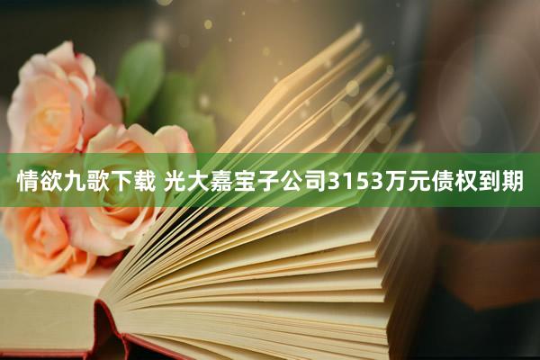情欲九歌下载 光大嘉宝子公司3153万元债权到期
