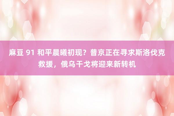 麻豆 91 和平晨曦初现？普京正在寻求斯洛伐克救援，俄乌干戈将迎来新转机