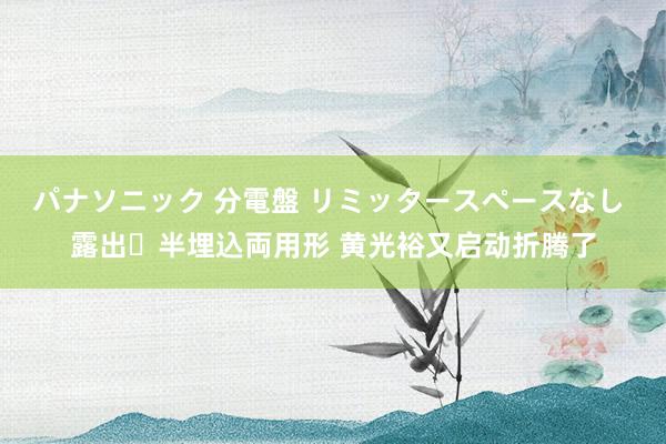 パナソニック 分電盤 リミッタースペースなし 露出・半埋込両用形 黄光裕又启动折腾了