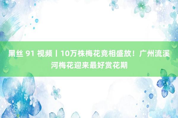 黑丝 91 视频丨10万株梅花竞相盛放！广州流溪河梅花迎来最好赏花期
