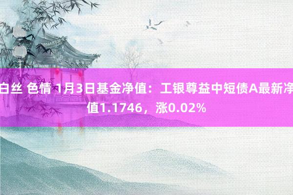 白丝 色情 1月3日基金净值：工银尊益中短债A最新净值1.1746，涨0.02%