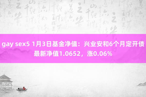 gay sex5 1月3日基金净值：兴业安和6个月定开债最新净值1.0652，涨0.06%
