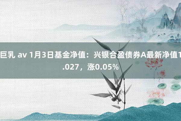 巨乳 av 1月3日基金净值：兴银合盈债券A最新净值1.027，涨0.05%
